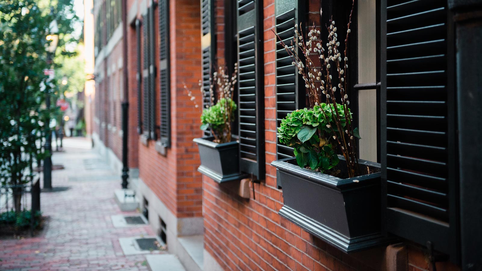 Apartments And Houses For Rent Doorsteps Com
